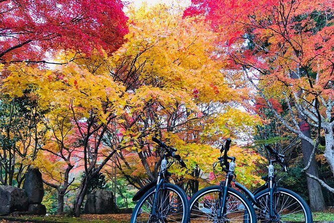 Hiroshima Country Cycling: Explore Rural Life 1 HR from City - Authentic Experiences and Local Interactions