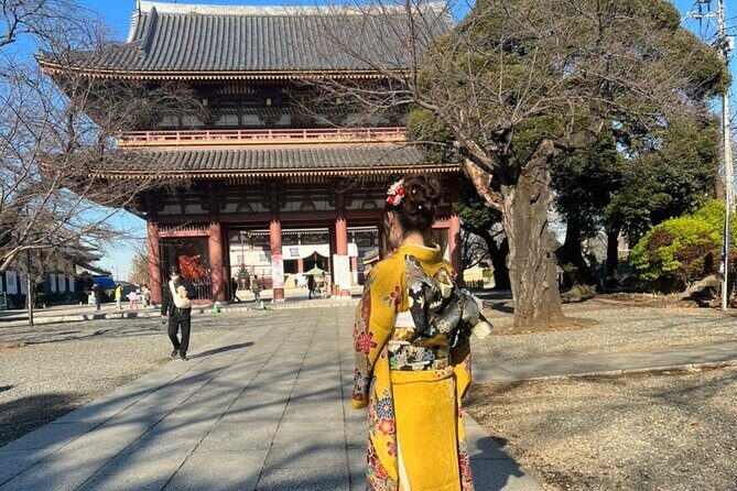 Historic Templetraditional Japanese garden Eating around at a shopping strip - What’s Included and What to Consider