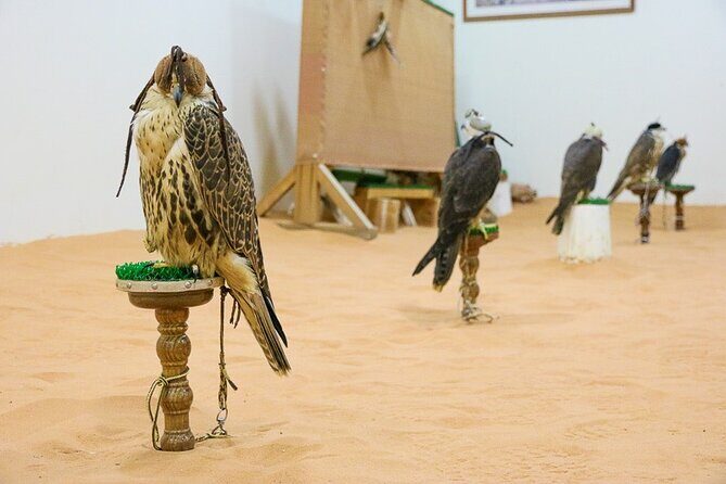 Historical Riyadh Self-Guided Audio Walking Tour - Evaluating the Experience: What It Means for Travelers