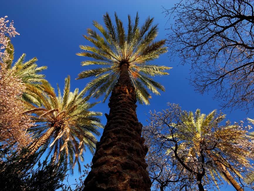 History & Nature Trail - Nakhal & Wakan Village - The Details: How It All Comes Together