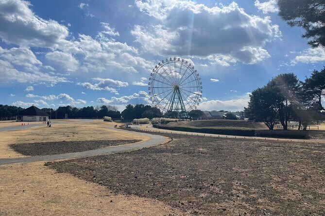 Hitachi Seaside Park & Nakaminato fish market tour - Who Will Love This Tour?