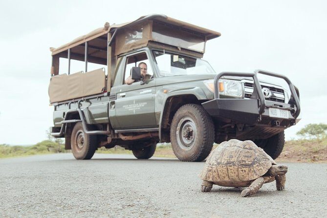 Hluhluwe Game Drive - Half day - What Sets This Tour Apart