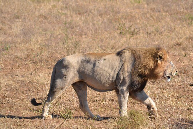 Hluhluwe Imfolozi Big 5 Safari Tour from Durban - Arriving at Hluhluwe Imfolozi Park — Wildlife at Your Doorstep