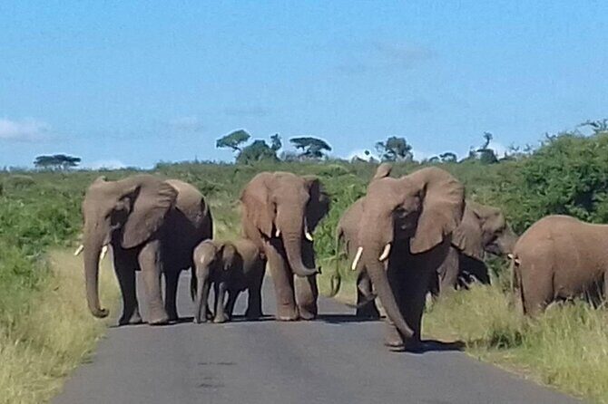 Hluhluwe Imfolozi Park And Isimangaliso Wetlands Park .st Lucia - Authentic Experiences from Fellow Travelers