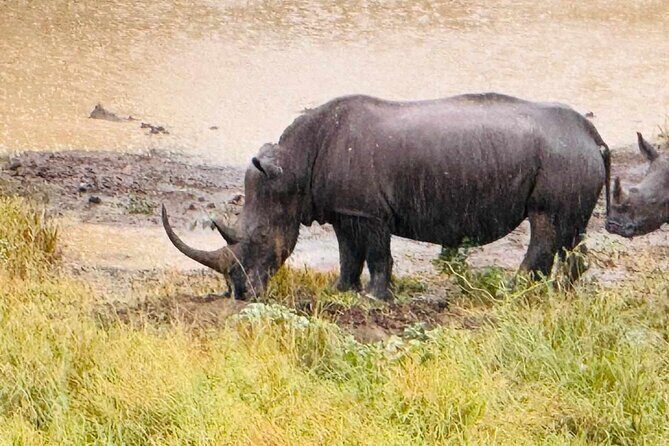 Hluhluwe Imfolozi Park Excursion - What’s Included and What to Keep in Mind