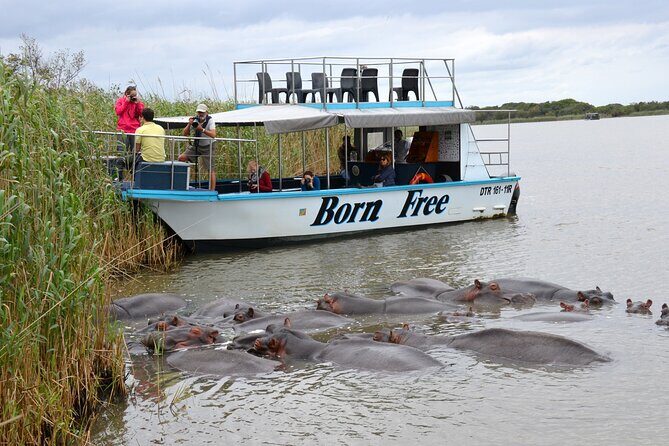 Hluhluwe Imfolozi Safari & St Lucia Boat Safari Day Tour from Durban - Authentic Experiences and Honest Feedback