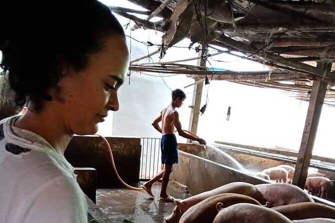 Ho Chi Minh City Full-Day Farm trip with Healthy Cooking Class - A Detailed Breakdown of the Itinerary