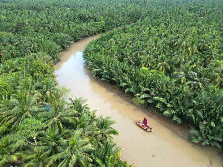 Ho Chi Minh City: Mekong Delta Day Trip with Lunch & Drinks - Why This Tour Offers Great Value