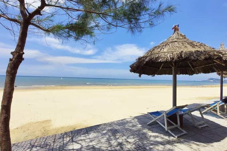 Ho Chi Minh City: Vung Tau Day Trip tour - Transportation & Comfort