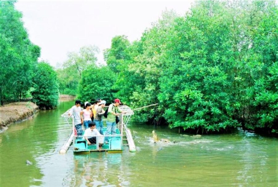 Ho Chi Minh: Eco Tour to Can Gio Mangrove Forest PVT and SIC - The Reality Check: Pros and Cons Based on Reviews