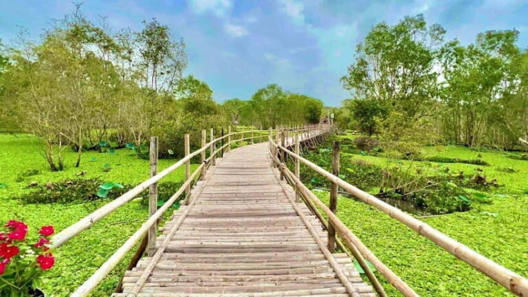 Ho Chi Minh:3 Days Mekong Cai Be, Cai Rang and Tra Su Forest - Who Will Love This Tour?