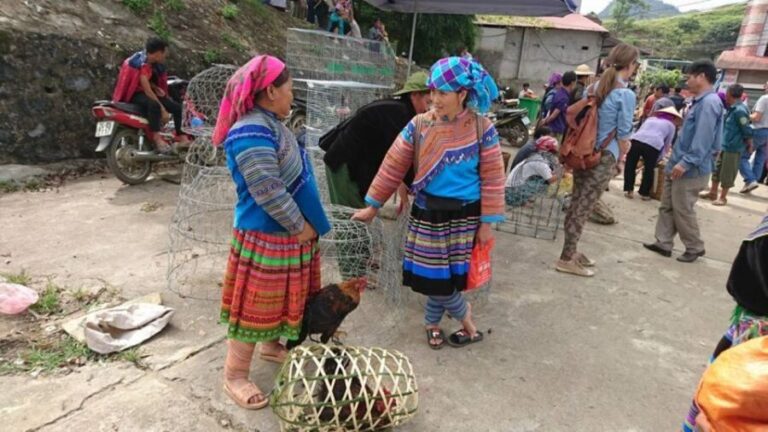 Hoàn Kim: 3-Day Sapa Trek Adventure Tour with Local Guide - What Makes This Tour Stand Out