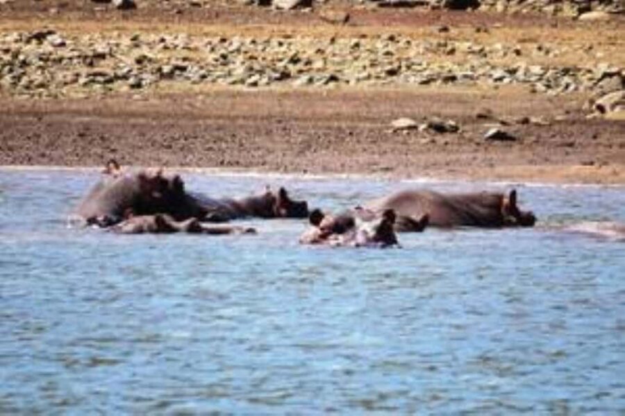Hoedspruit: Blyde River Canyon Dam Boat Cruise - Authentic Reviews and Authentic Experiences