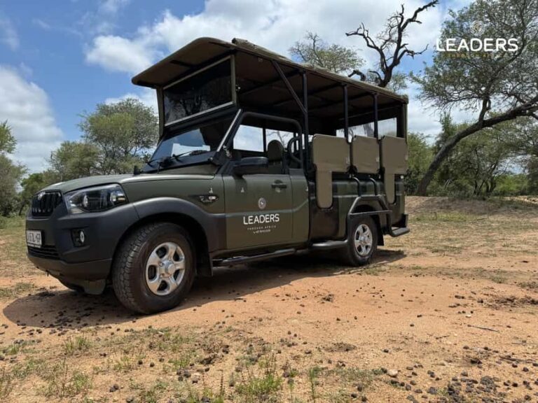 Hoedspruit: Private Kruger National Park Full-Day Safari - What to Expect During Your Safari
