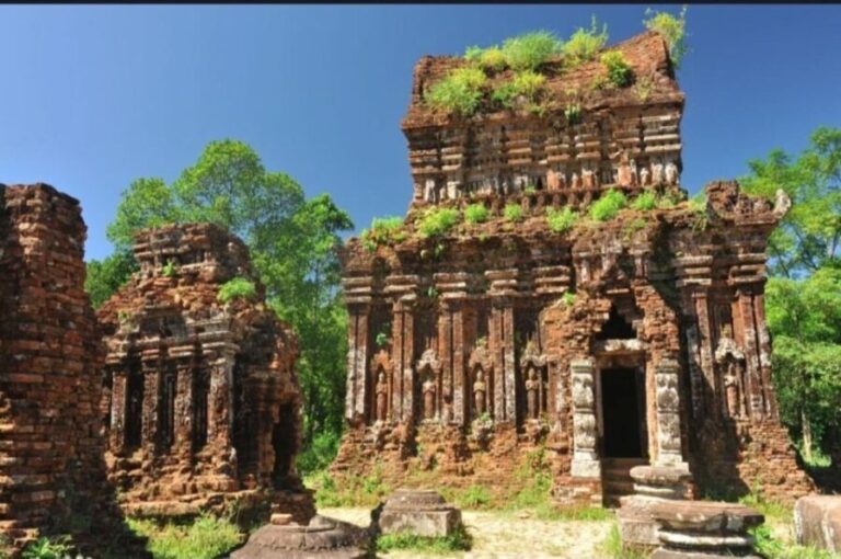 Hoi An: Cam Thanh Cooking Class & My Son Sanctuary Day Tour - What’s Included and What’s Not
