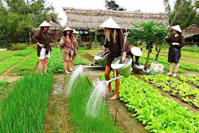 Hoi An Countrylife Tour Experience & Vietnamese Set Menu - What’s the Real Value?