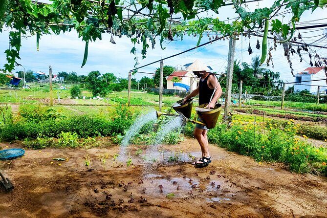 Hoi An countryside cycling tour - Authentic Experiences That Shine
