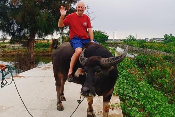 Hoi An Countryside Tour with Bamboo Basket Boat Rowing , Buffalo Ride, Farming - FAQ