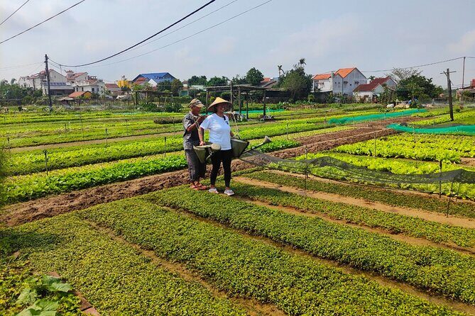 Hoi An Half-Day Bicycle Tour: Visit Herb Village, Row Basket Boat - Practical Details and Tips