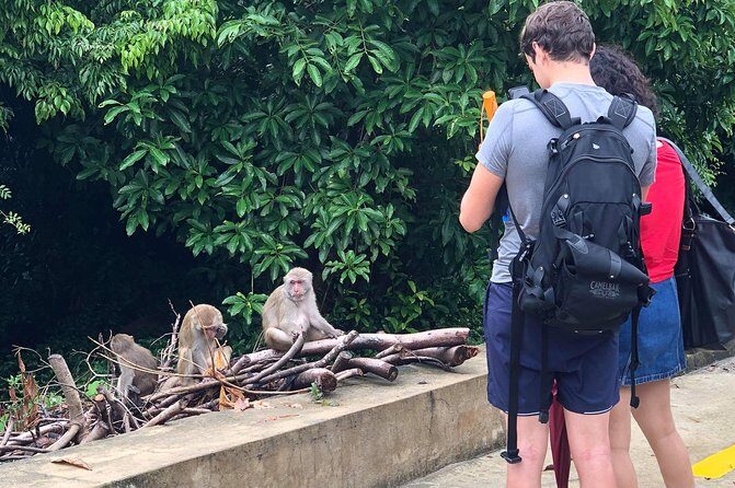Hoi An or Da Nang to Golden Bridge, SonTra Monkey Mountain, Marble Mountain - FAQs