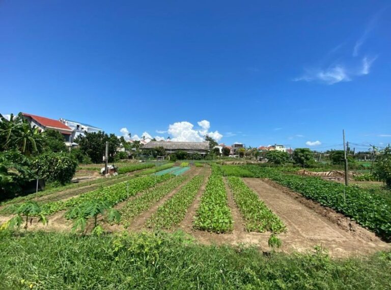 Hoi An: Rural Cycling Tour to Village with Basket Boat Ride - Summing Up: Who Will Love This Tour?