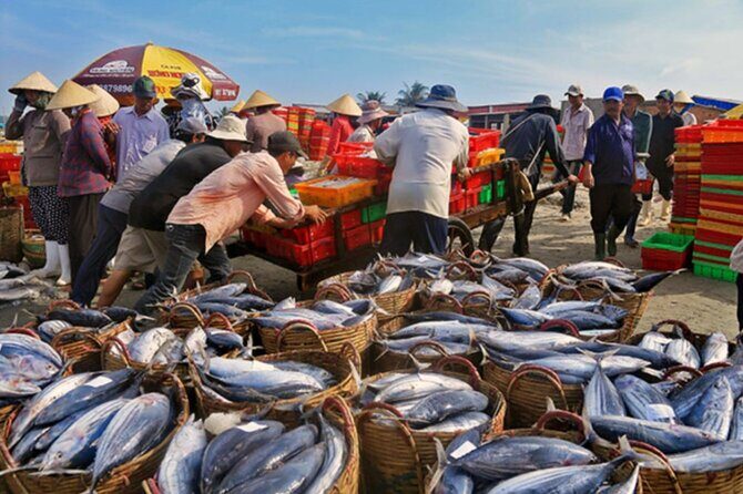 Hoi An Sunrise Fish Market Tour - Who Will Love This Tour?