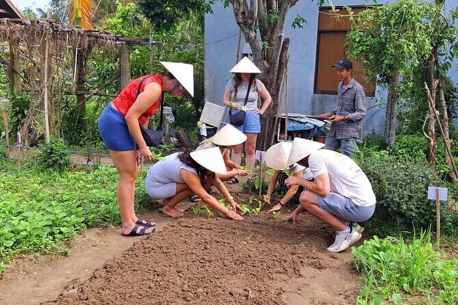Hoi An Vespa Tour: Hoi An Rural Life & Cooking Class - What makes this tour stand out?