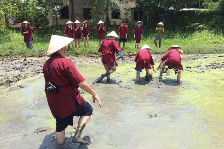 Hoi An Wet Rice Farming Tour-Basket Boat Tour Fishing-Lunch - What’s Included and What’s Not