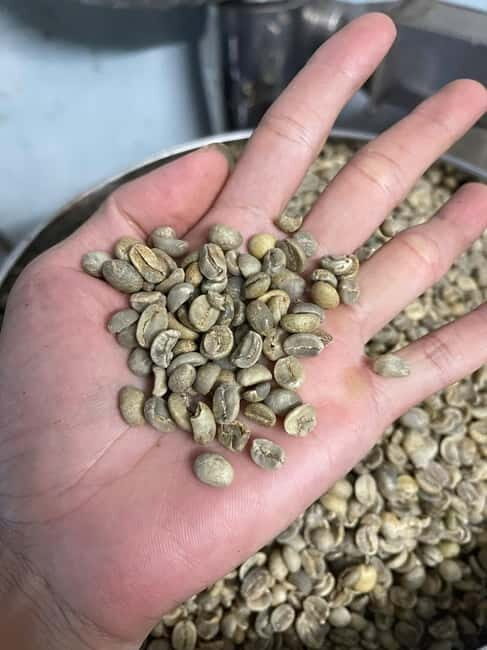 Hoi An:Coffee Making Class (Coffee: egg, Salt, Coconut, ...) - An In-Depth Look at the Coffee Making Class