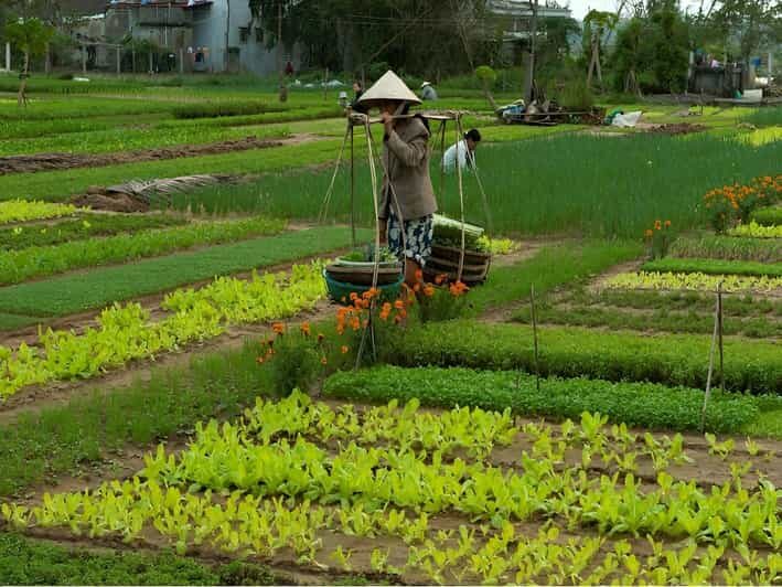 HOIAN: LANTERN MAKINGFARMER AT TRA QUE SMALL GROUP - Overall Value and Practical Considerations