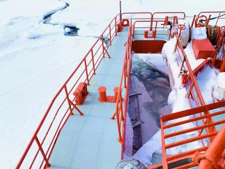 Hokkaido-2 Day Tour to Icebreaker Mombetsu and Asahiyama Zoo - What Makes This Tour Stand Out?