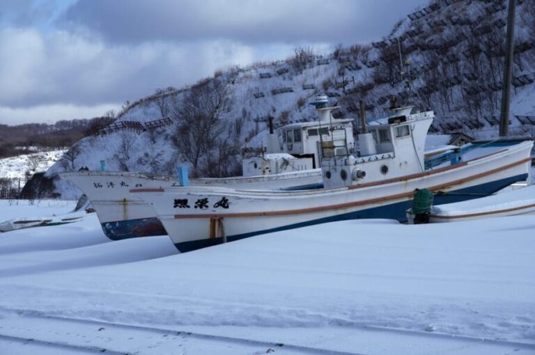 Hokkaido Niseko Ski Day Tour - Practical Considerations