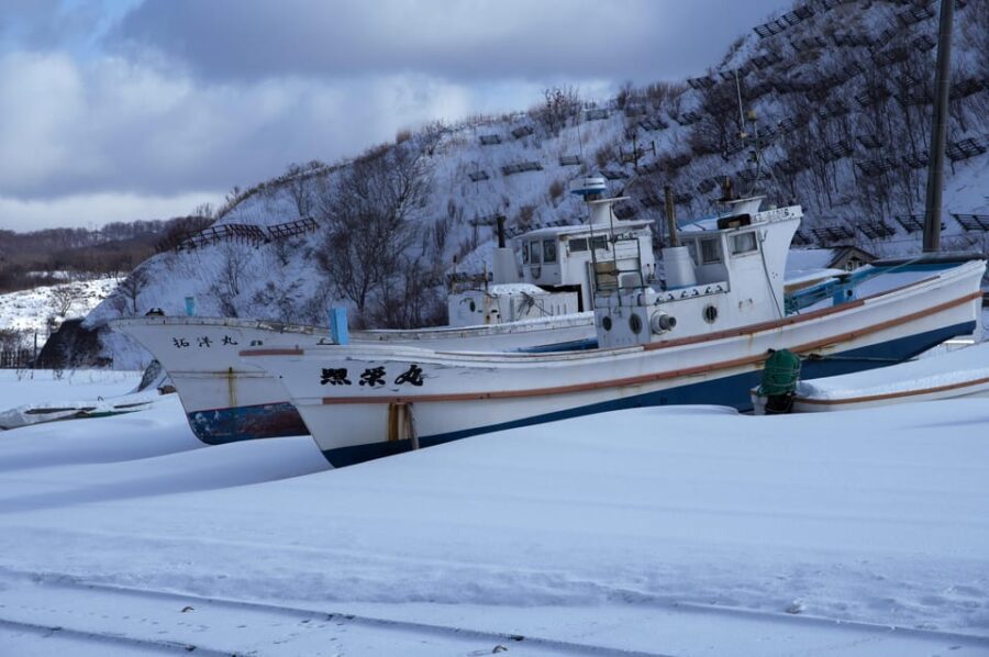Hokkaido Niseko Ski Day Tour - Practical Considerations