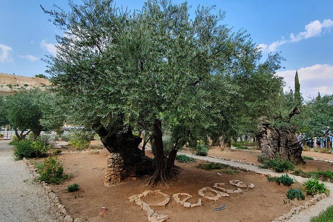 Holy Land Gateway: Haifa Port to Jerusalem & Bethlehem - An In-Depth Look at the Jerusalem & Bethlehem Tour