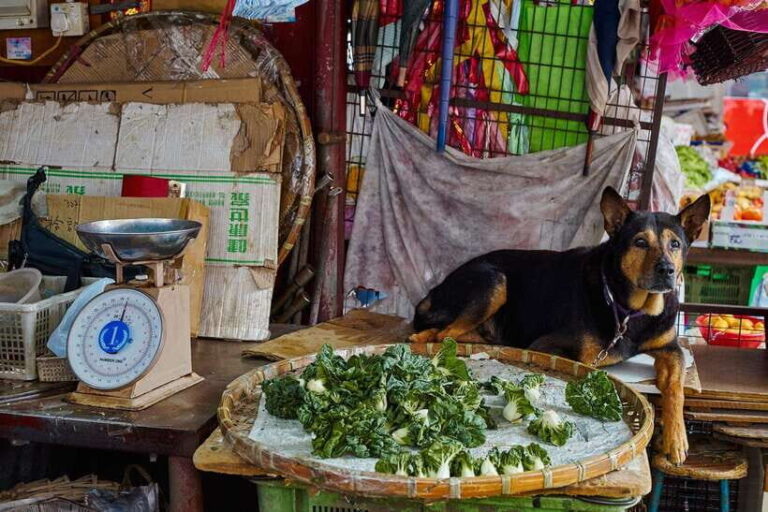 Hong Kong: photographic tour of Kowloon's Yau Tsim Mong district. - What Makes This Tour Stand Out