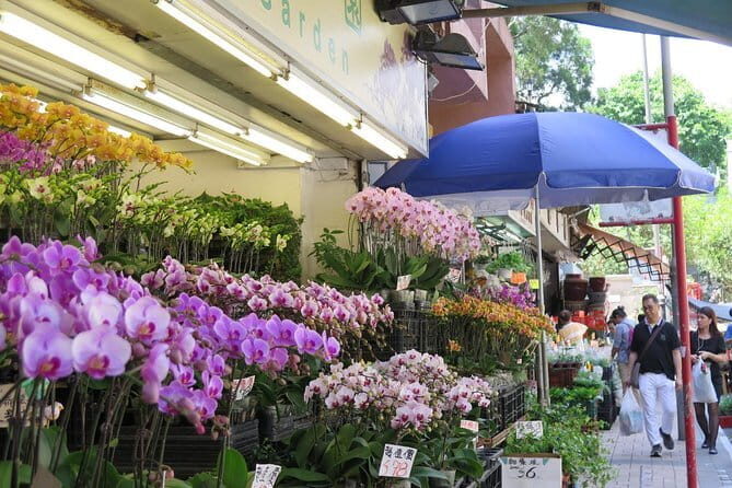 Hong Kong Private Shore Excursion 4/6hrs (with car - MPV) - The Practical Side: What Travelers Can Expect
