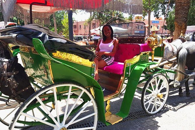 Horse and Carriage Ride with Majorelle Garden - Who Should Book This Tour?