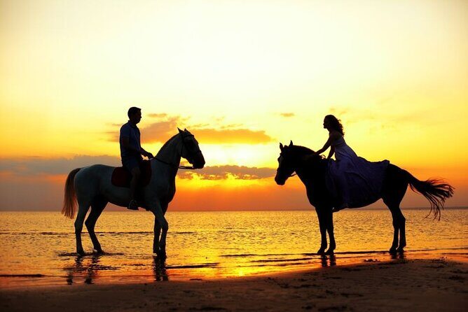 Horse & Camel Riding Experience in Hurghada - An Authentic Ride Through Hurghada’s Natural Beauty