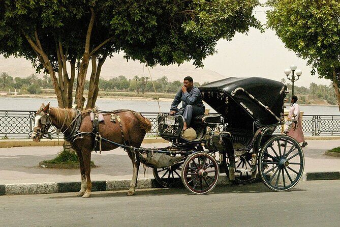Horse Carriage City Tour in Luxor city with meal and soft drink - The Value of This Experience