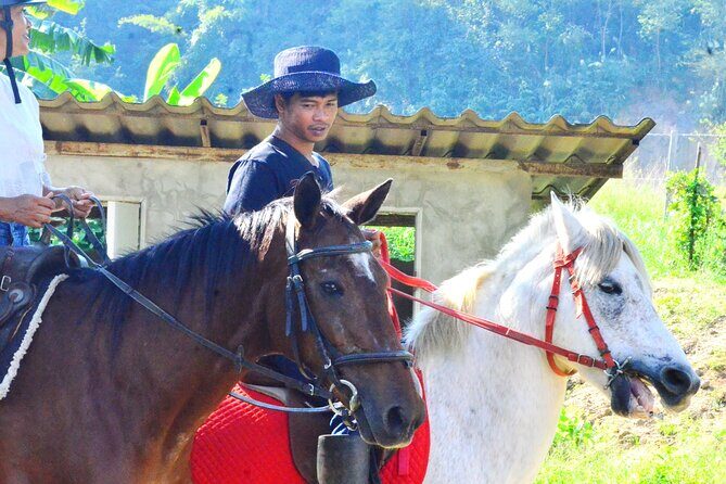 Horse Lesson+Riding+Wat Tonkwen wooden temple.Chiangmai - The Value Proposition