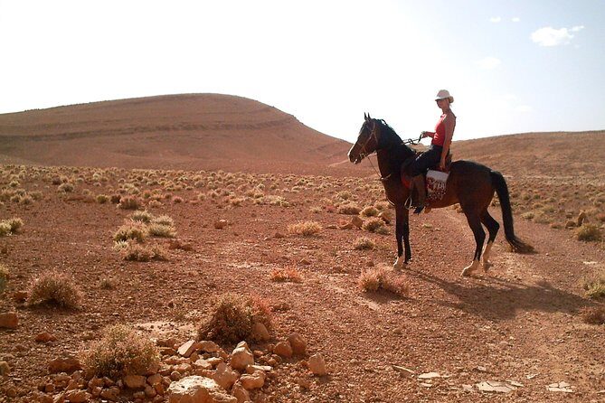 Horse Ride at the Marrakech Desert - Who Should Consider This Tour?