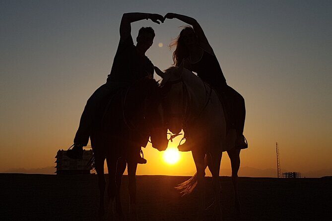 Horse Riding 1-Hour Adventure Trip With Transfer - Hurghada - What to Expect at Each Step