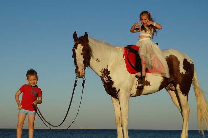 Horse Riding 2 Hours & Relaxation Turkish Bath & Sauna - Hurghada - The Price and Its Value