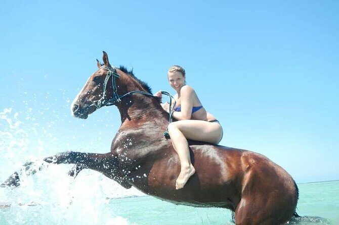 Horse Riding 3 Hours Desert Beach Swimming by horse in Hurghada - Who Will Love This Tour?