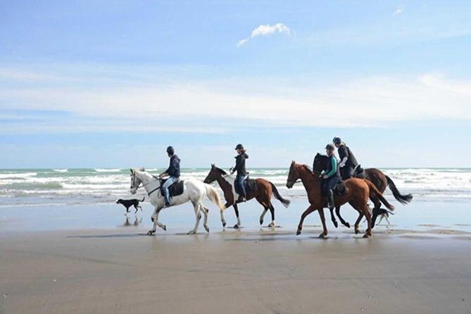 Horse Riding Adventure 2 hours sea and Desert - Hurghada - Final Thoughts