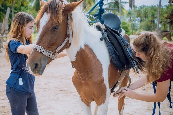 Horse Riding and Beach Trails on Koh Samui - The Final Word: Is It Worth Your Time?