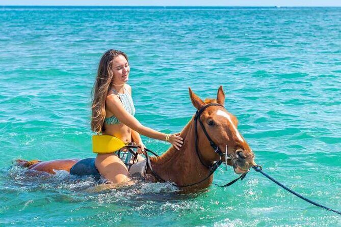 Horse Riding Beach or Desert with transfer from Sharm El Sheikh - The Horses and Their Well-being