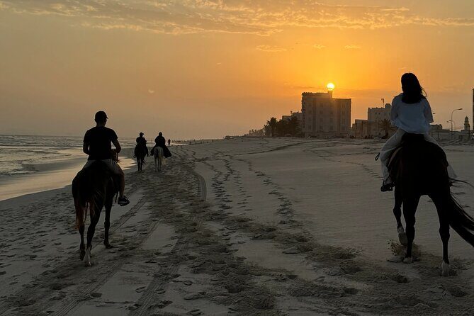 Horse riding by the beach Salalah - Final Thoughts: Is This Tour for You?