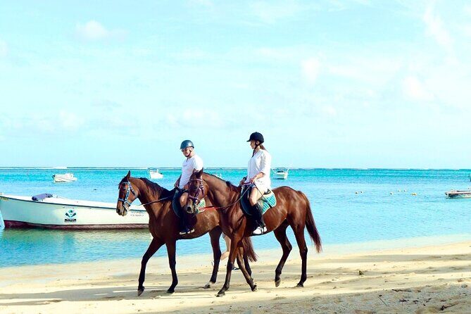 Horse Riding experience by Haras du Morne - Exploring the Itinerary: What You’ll See and Do