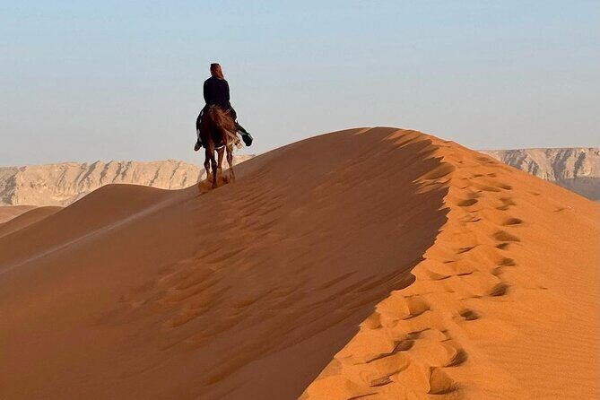 Horse Riding Experience in Riyadh | Tanomah | Jeddah | Al Ula - What to Expect During the Tour